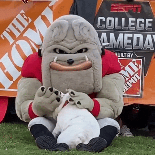 Georgia Bulldogs Football UGA Mascot GIF