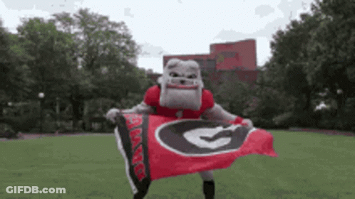 Georgia Bulldogs Mascot Holding Flag GIF