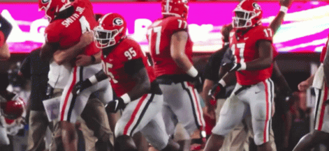 Georgia Bulldogs Solid Team Spirit GIF