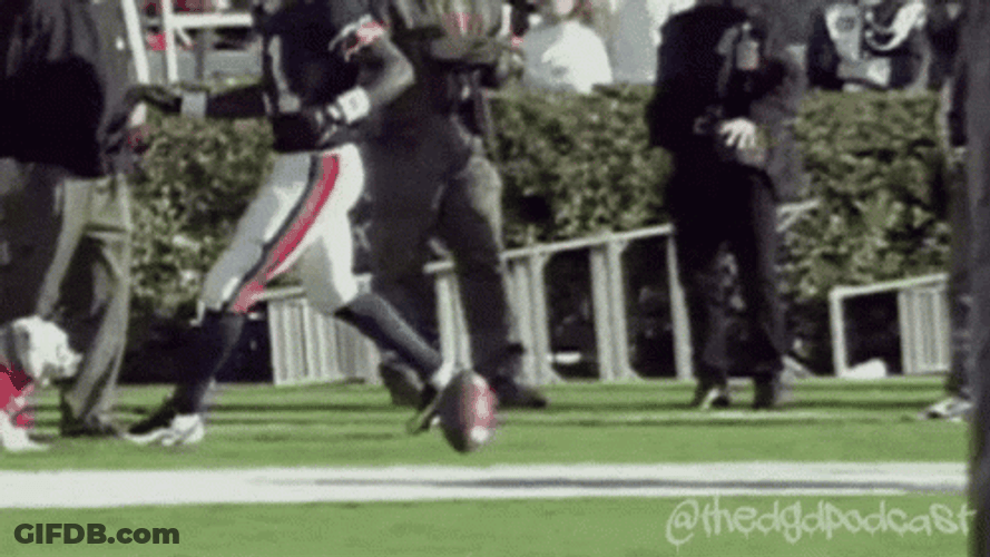 Georgia Bulldogs Uga Attacking GIF