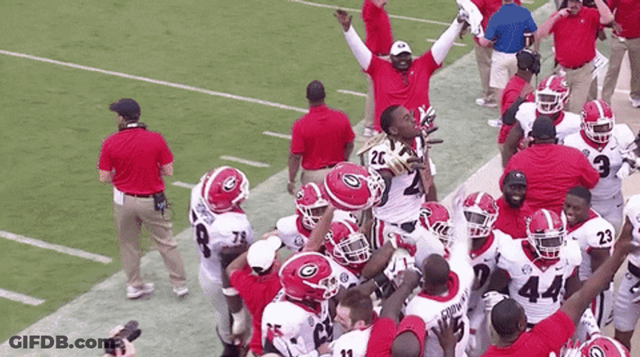 Georgia Football Team Win GIF