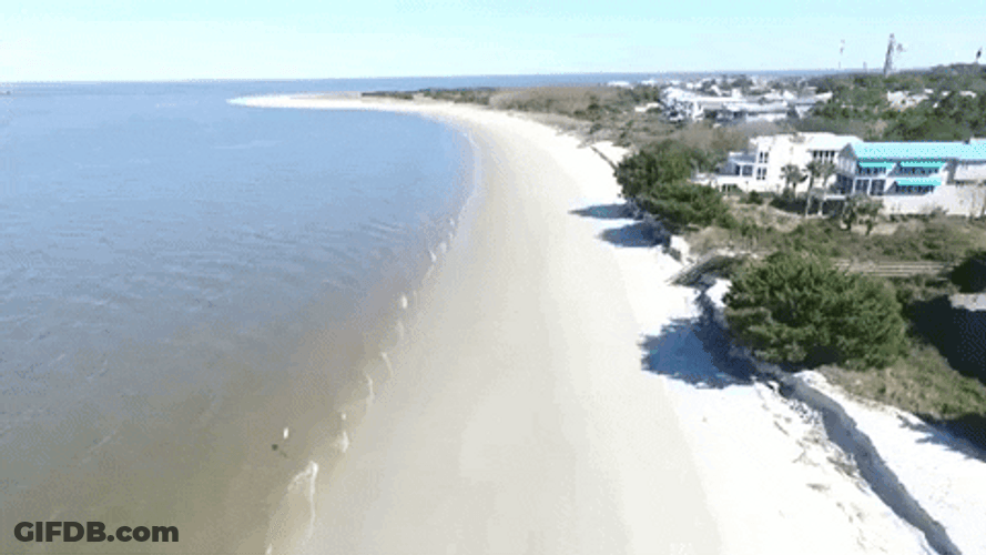 Georgia Long Island Beach GIF
