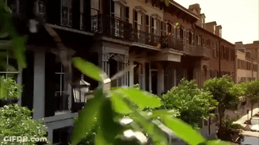 Georgia Old Ancestral Homes GIF