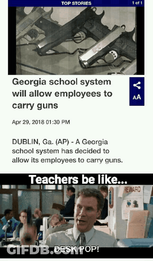 Georgia School System GIF
