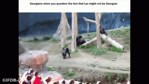 Georgians Question Laz's Georgian Identity GIF