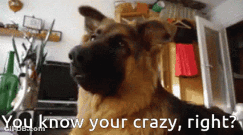 German Shepherd Saying You Know Your Crazy GIF