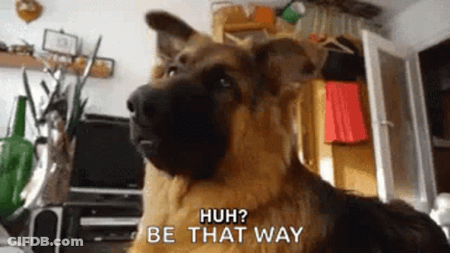 German Shepherd Says Huh Be That Way GIF