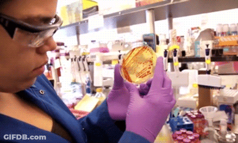 Germs Examination Test GIF
