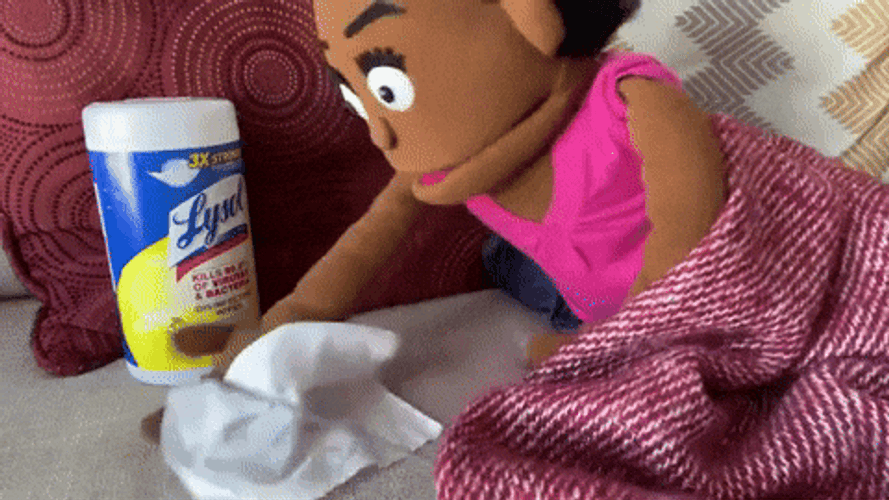Germs Lysol Clean Up GIF