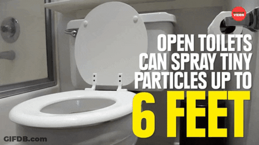 Germs On Your Toothbrush GIF