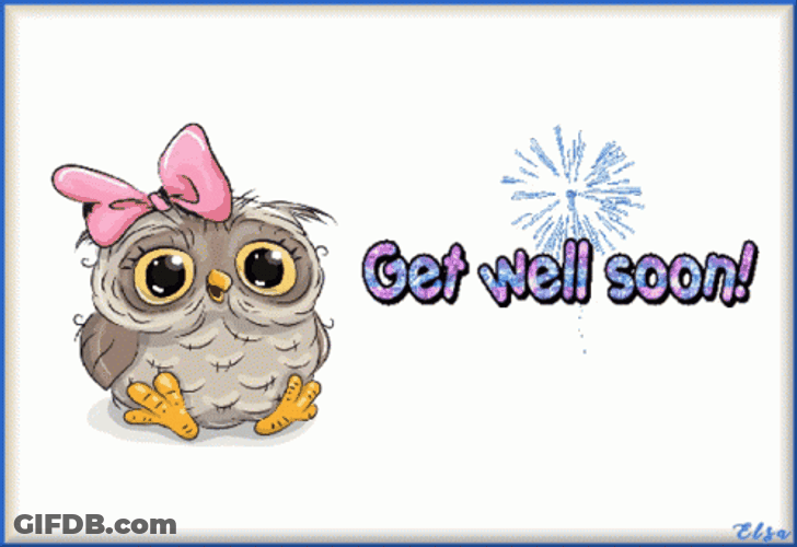 Get Better Soon From Owl With Ribbon GIF