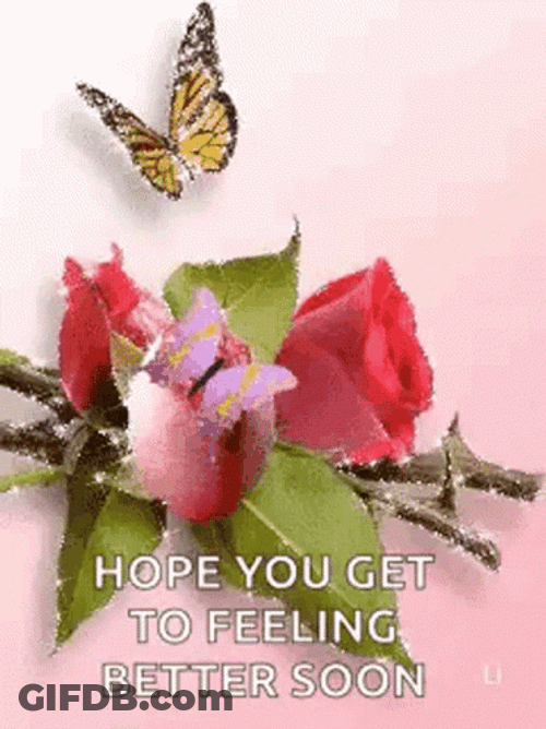 Get Better Soon Roses And Butterfly Glitters GIF
