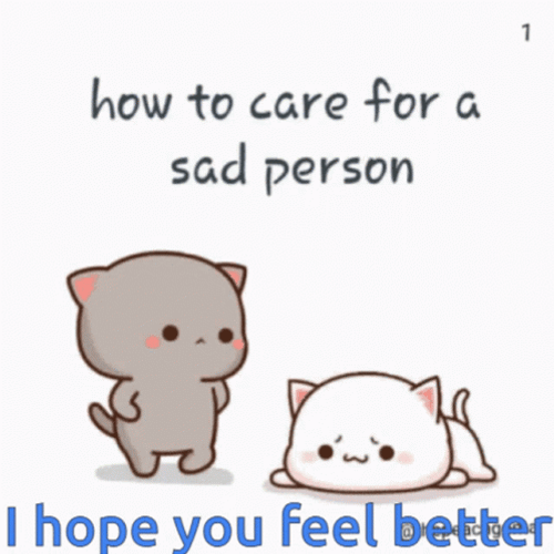 Get Better Soon Sad Couple Cat GIF