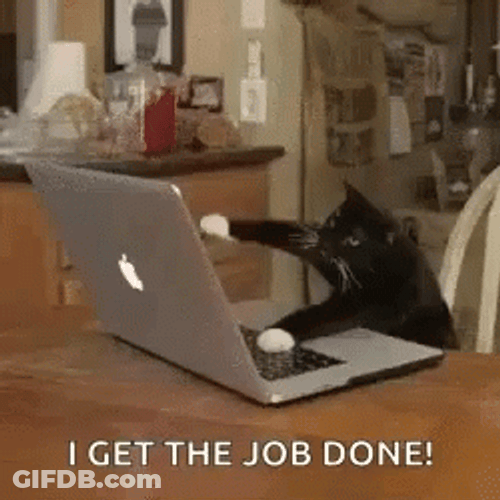 Get Er Done Cat Typing Work GIF