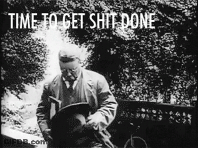 Get Er Done Teddy Roosevelt GIF