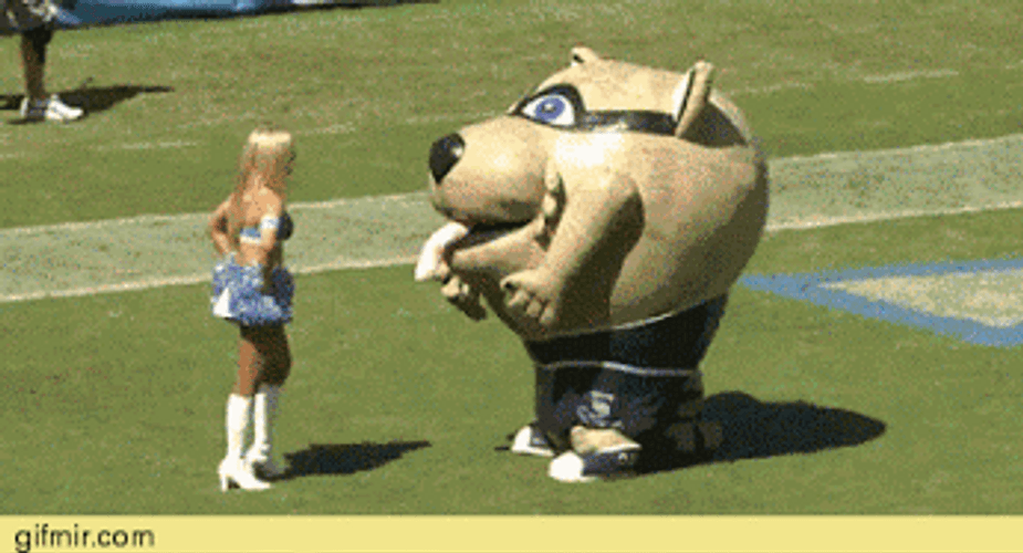 Get In My Belly NFL Mascot Cheerleader GIF