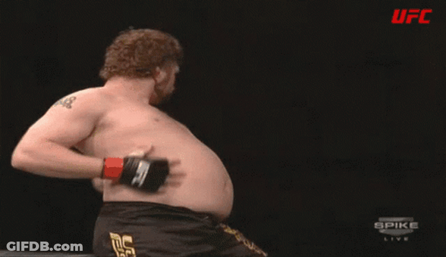 Get In My Belly Roy Nelson GIF