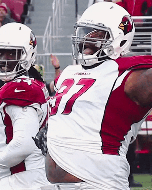 Get In My Belly Simeon Rice AZ Cardinals GIF