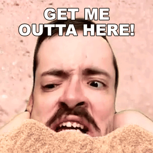 Get Me Out Of Here Ricky Berwick GIF