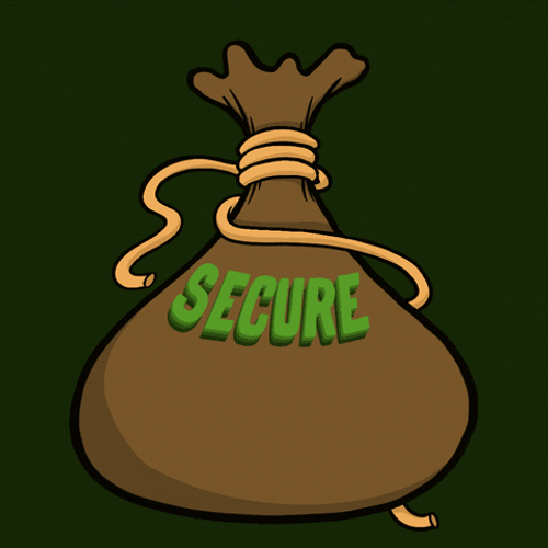 Get Money Secure The Bag GIF