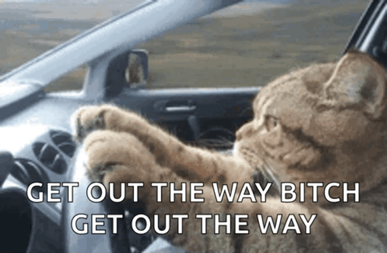 Get Out Of The Way Crazy Driving GIF