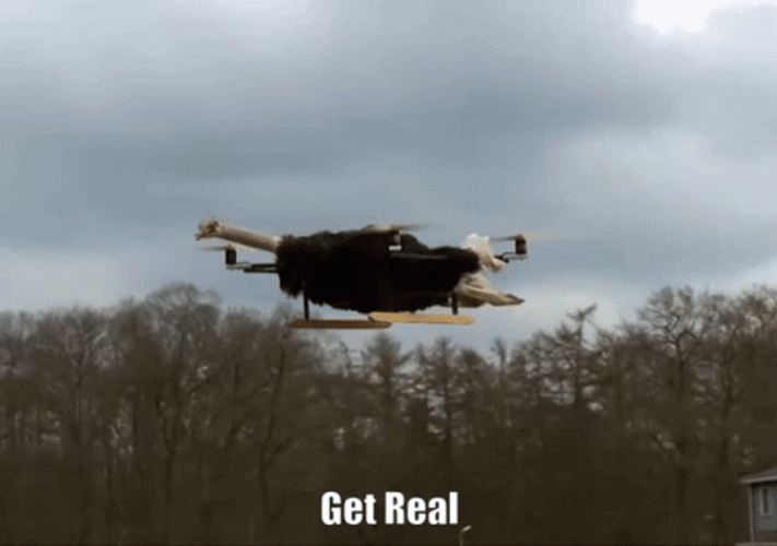 Get Real Flying Drone GIF