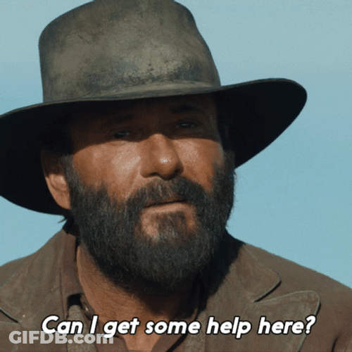Get Some Tim Mc Graw GIF