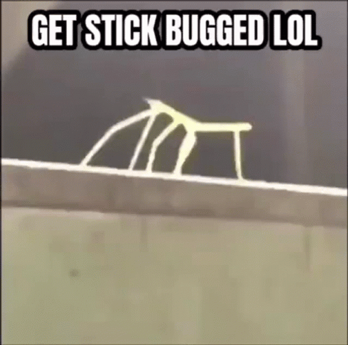 Get Stick Bug And Hand Fist GIF