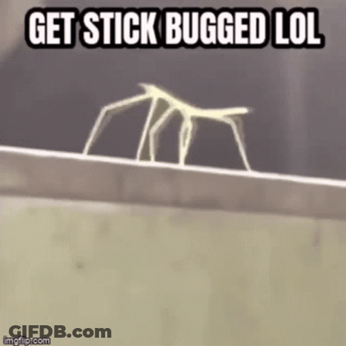 Get Stick Bugged Lol Rick Roll Meme GIF