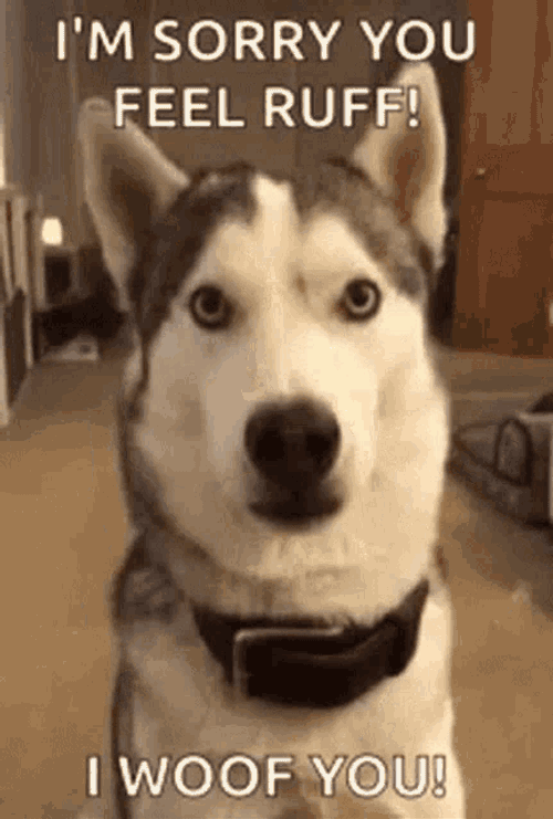 Get Well GIF