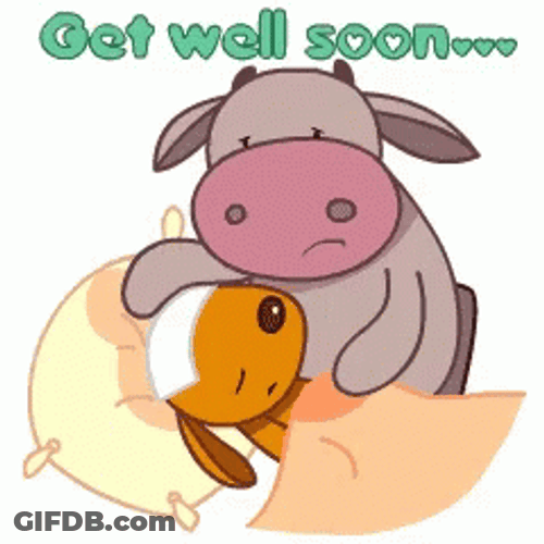 Get Well Soon Cow GIF