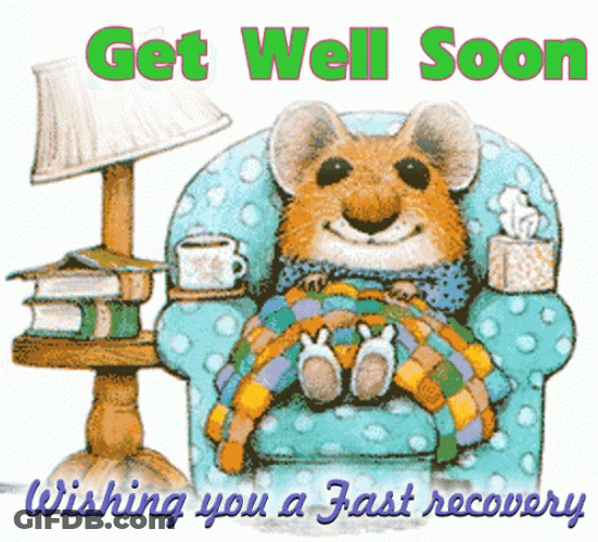 Get Well Soon Healing Message Cozy Mouse GIF