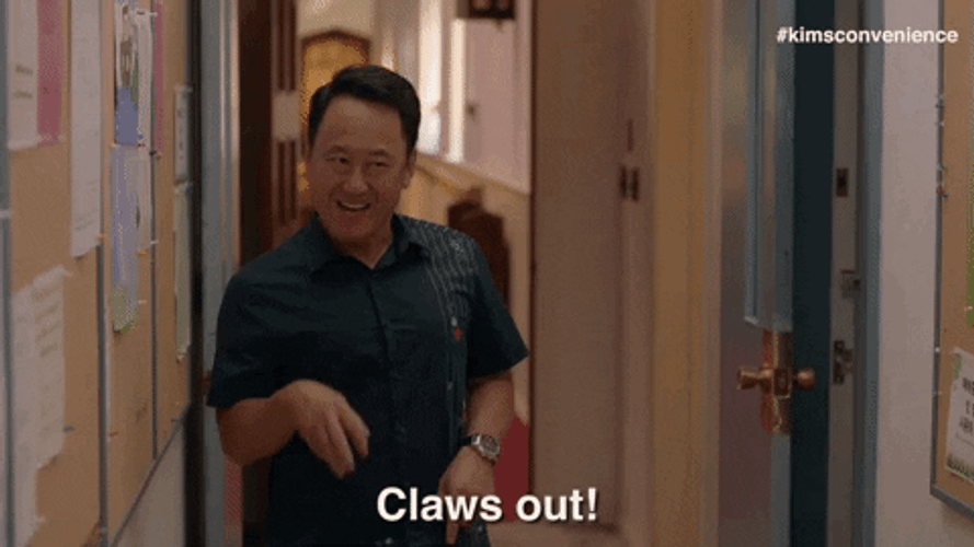 Getting Ready For Cat Fight GIF