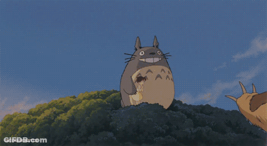 Ghibli Totoro And Mei GIF