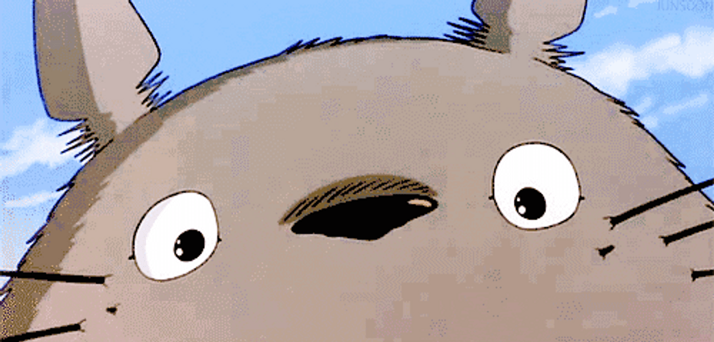 Ghibli Totoro Cute Smile GIF
