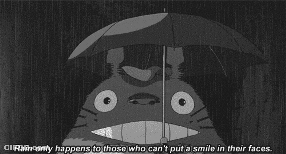 Ghibli Totoro Put A Smile GIF