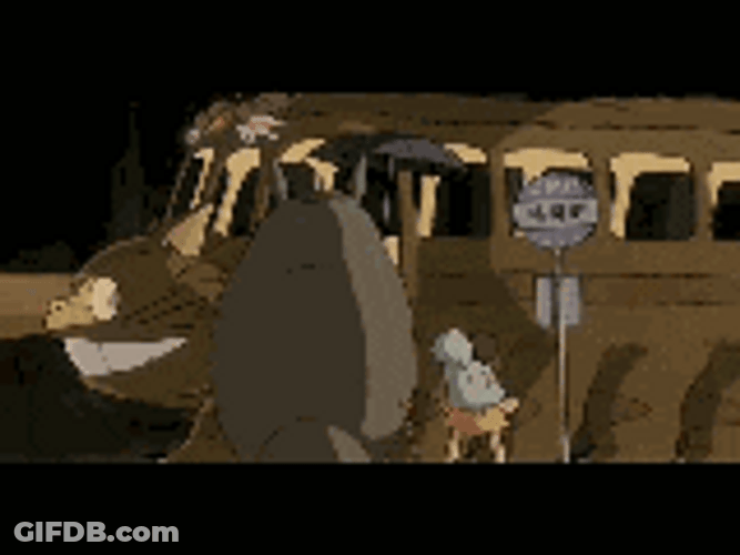 Ghibli Totoro Riding Buscat GIF