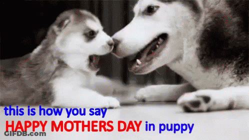 Ghost And Boy With Smiley Faces GIF