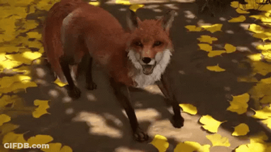 Ghost Of Tsushima Excited Fox GIF