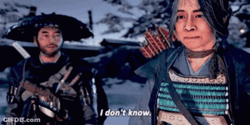 Ghost Of Tsushima I Don't Know GIF