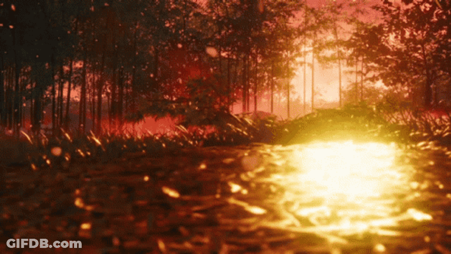 Ghost Of Tsushima Sunset Forest GIF