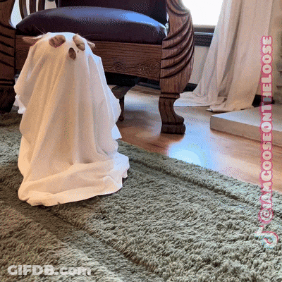 Ghost Sitting On Rug Next To Chair And Window GIF