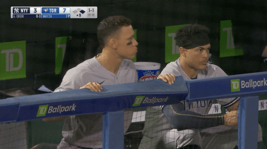 Giancarlo Stanton NY Yankees GIF