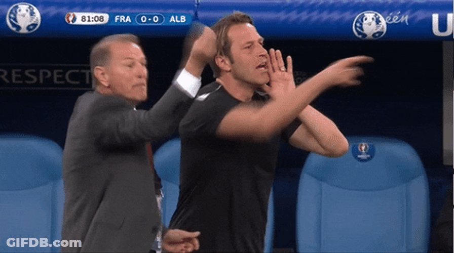 Gianni De Biasi Coaching GIF