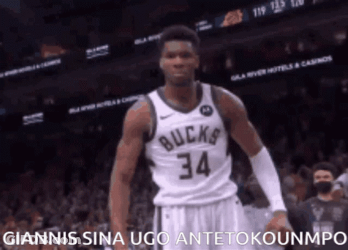Giannis Antetokounmpo Basketball Player GIF