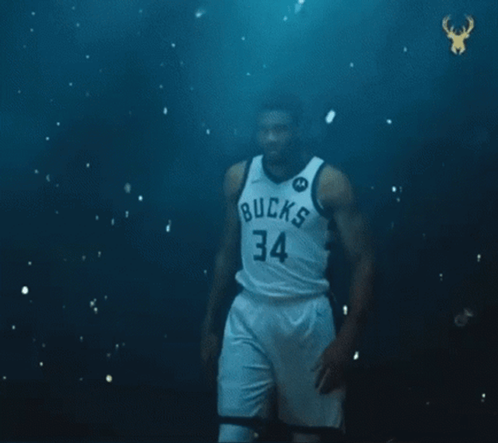 Giannis Antetokounmpo The Legend GIF