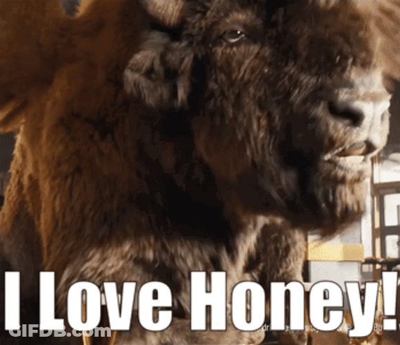 Giant Buffalo I Love You Honey GIF