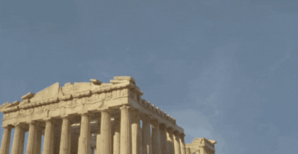 Giant Cat Travel GIF