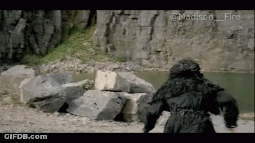 Giant Gorilla By Water And Rocks GIF