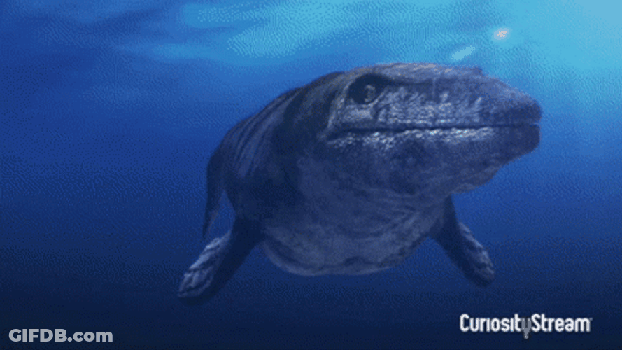 Giant Mosasaurus Under Water GIF